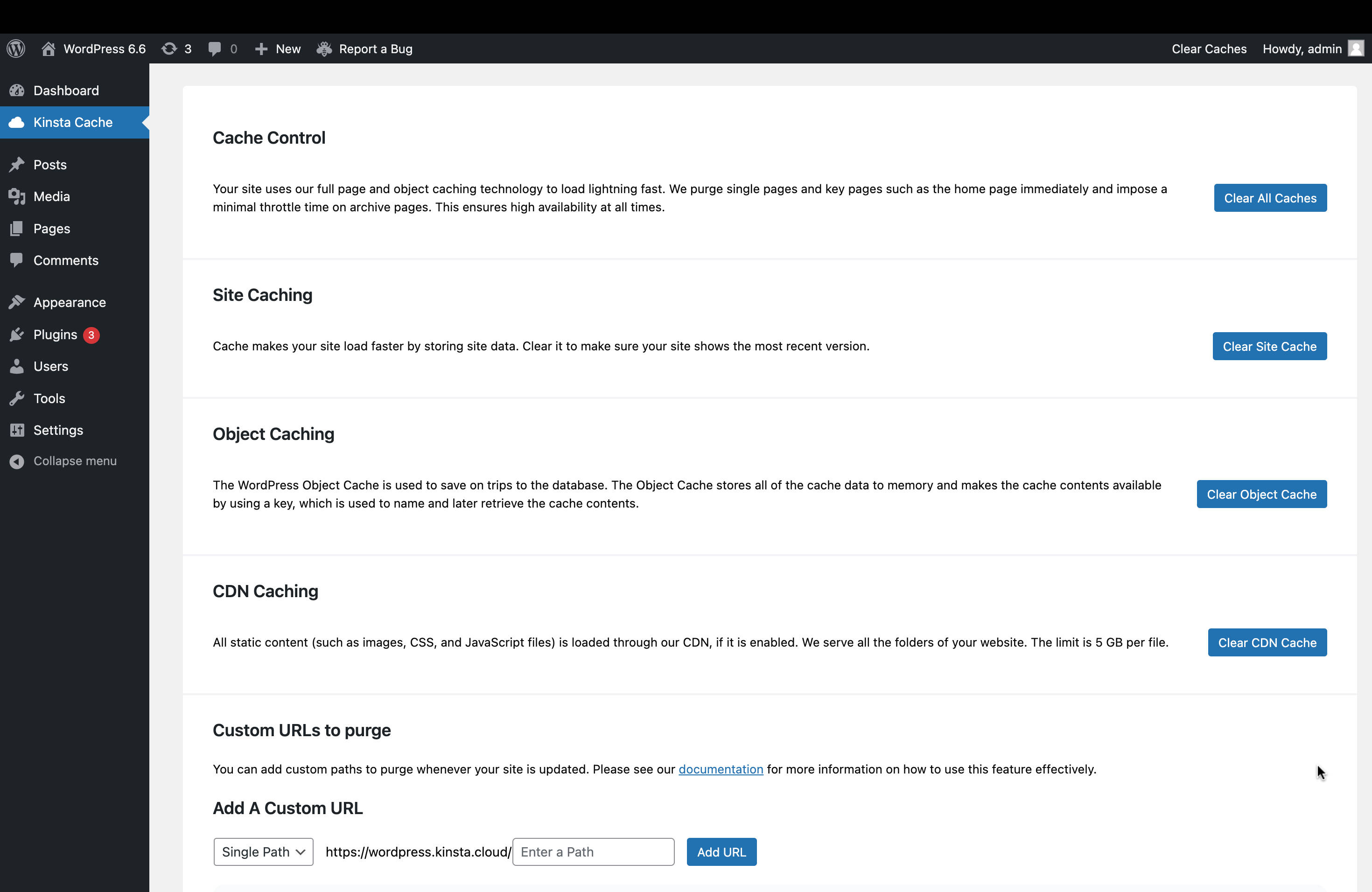 Kinsta MU WordPress plugin instellingen